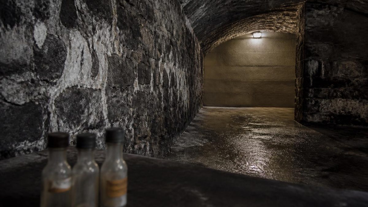 découvrez pourquoi les trois traitements coûteux à 2 800 € pour éliminer le salpêtre dans une cave voûtée ont échoué, et quel traitement a réellement fonctionné pour résoudre ce problème efficacement.