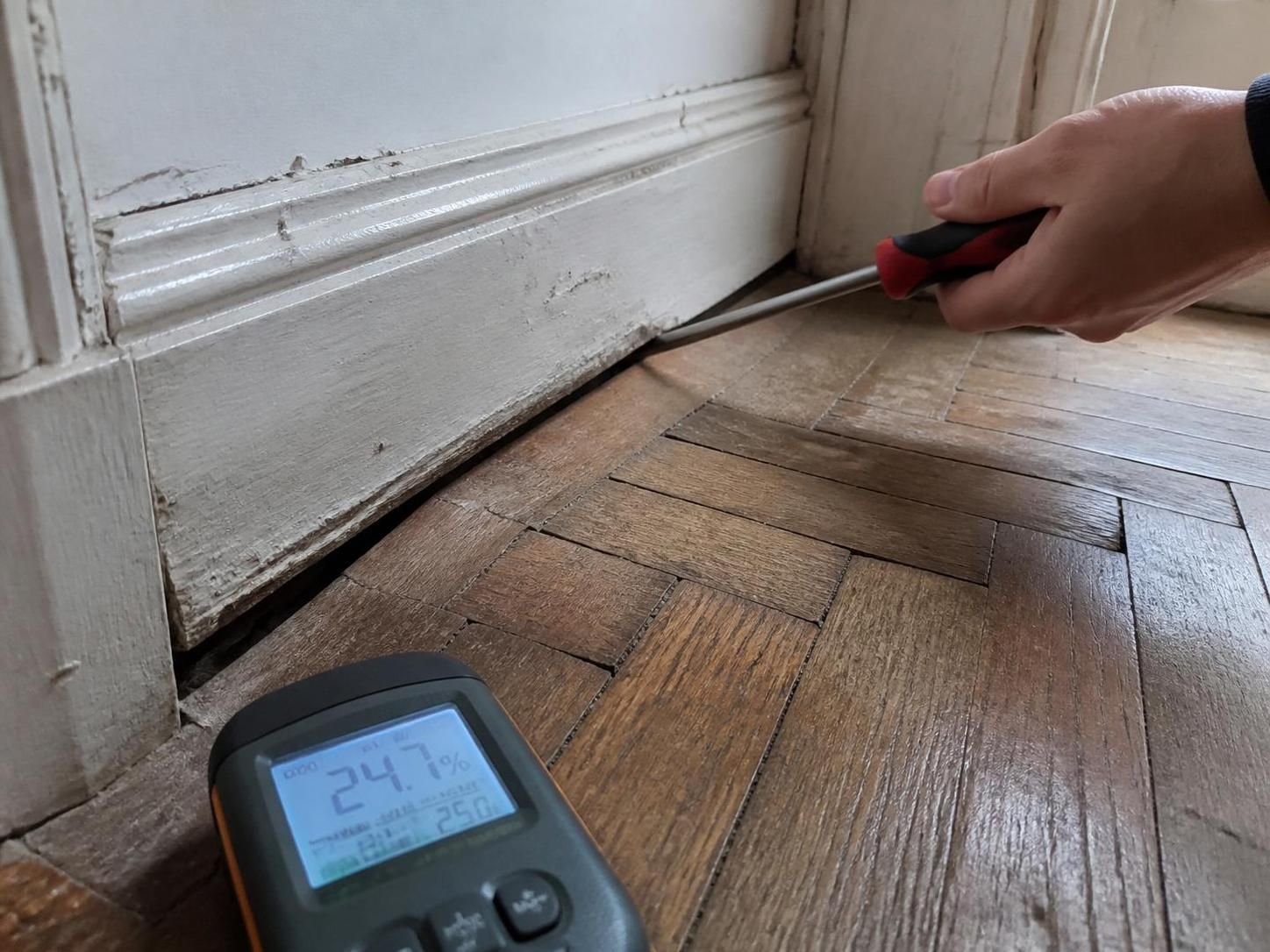 découvrez comment j'ai détecté un mérule caché sous le parquet lors de la visite n°2, avec une photo décisive qui a permis de réduire le prix de 41 000 €.